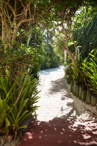 Photo 6 (1)                 